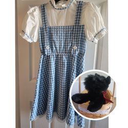 Dorothy costume