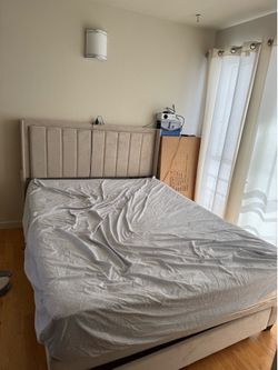 Bed Frame and Mattress