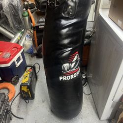 Boxing Punching Bag