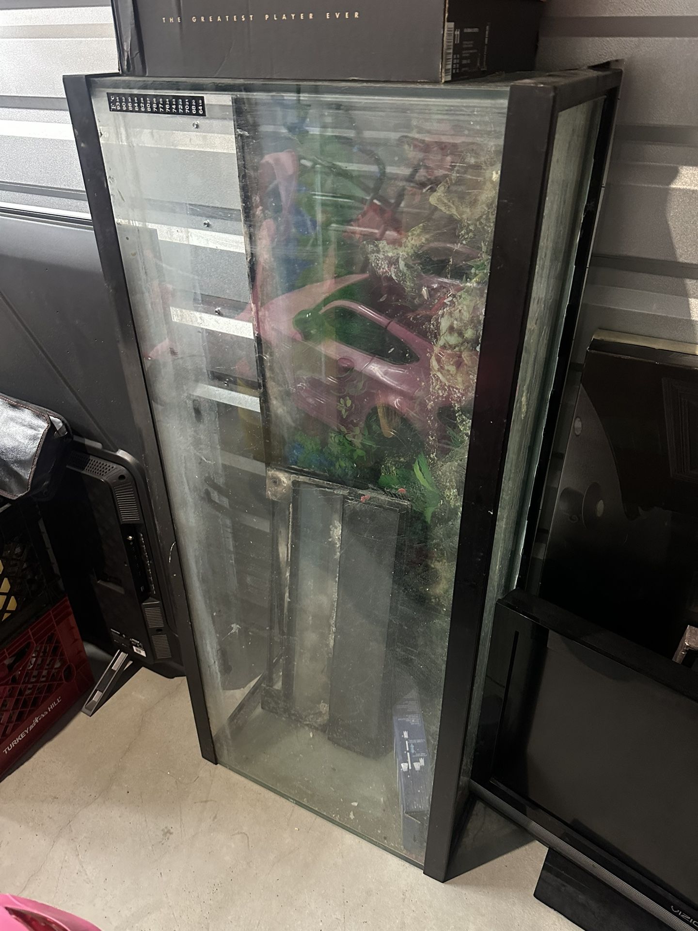 55 Gallon Fish Tank