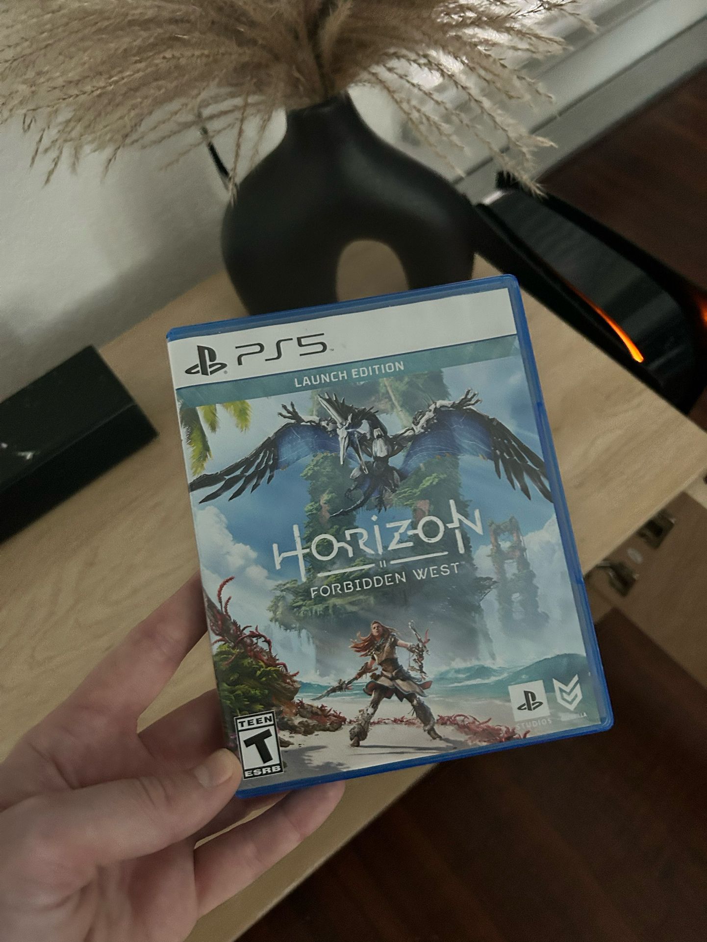 Horizon 2 Forbidden West