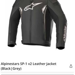 Alpine Cp Black Leather Motorcycle Jacket