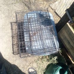 Dog Crate 