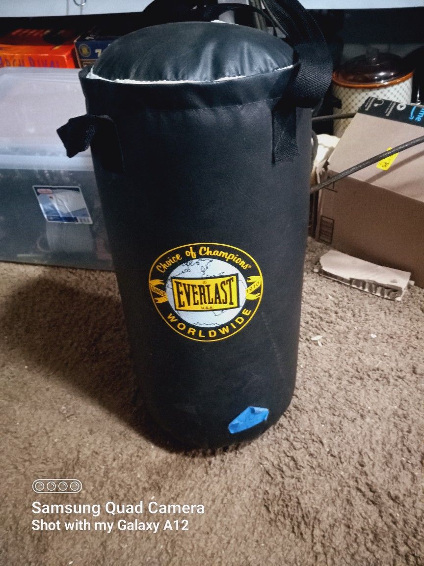 Everlast Punching Bag