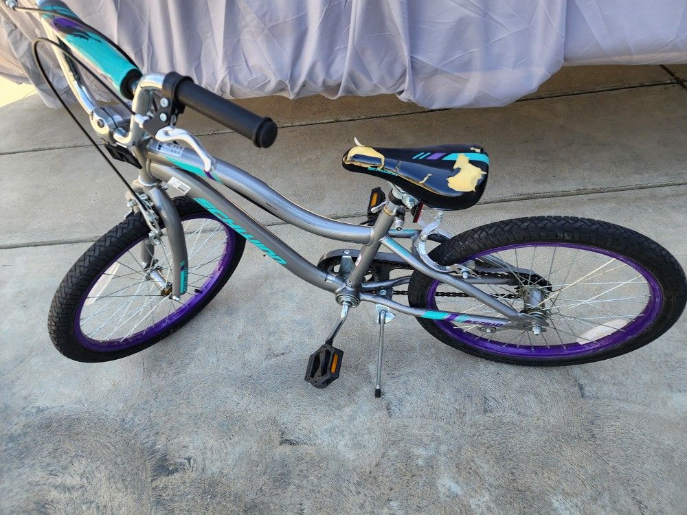 Girls Bike 20in 