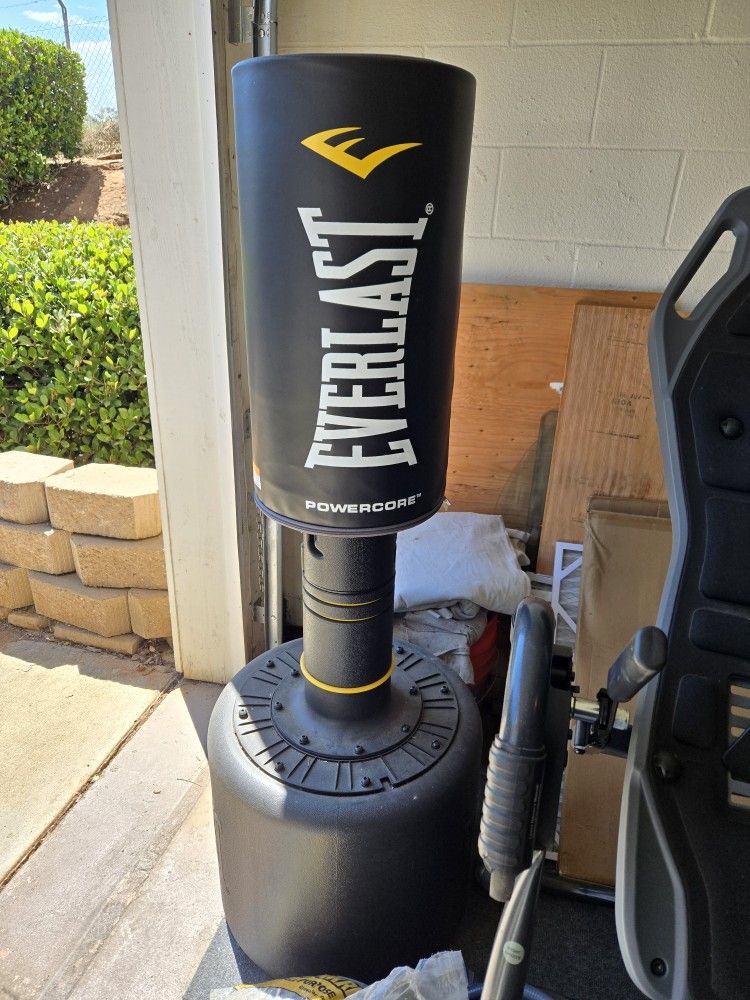 Everlast Power Core Punching Bag
