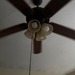 Ceiling Fan