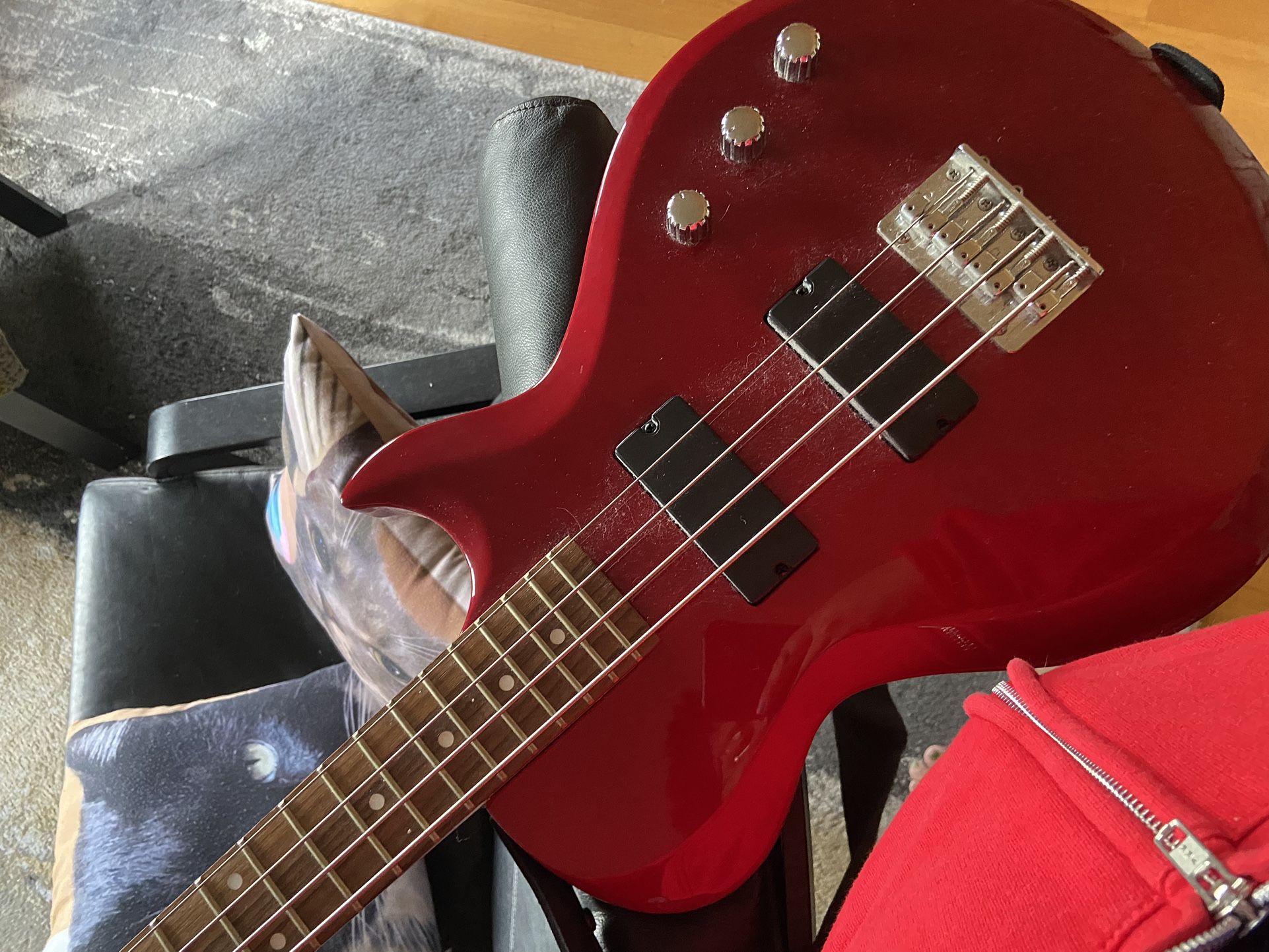 Ibanez Electric Bass Guitar