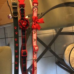 Dog Collars
