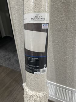 Ivory 5 x 7 Shag Area Rug