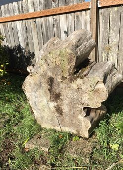 Slab of wood for furniture or etc.