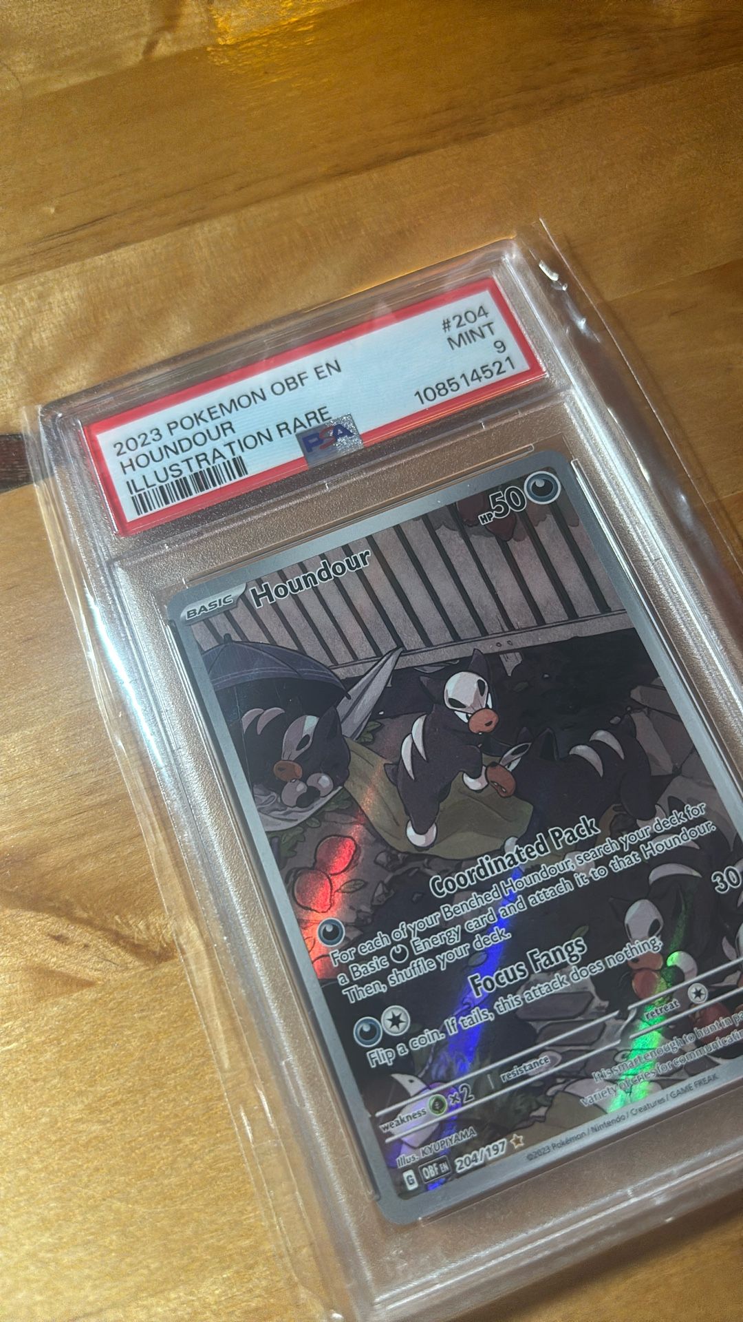 Houndour 204/197