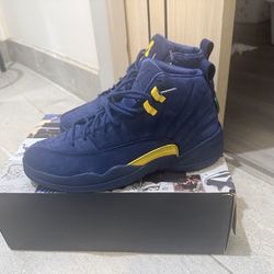 Michigan Jordan 12