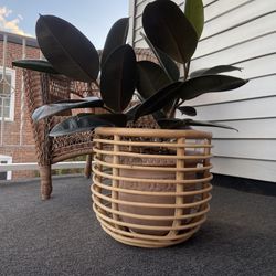 Medium spiral rattan plant holder