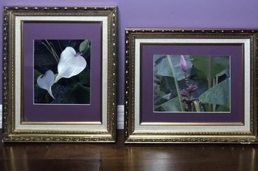 Two gorgeous framed photographs