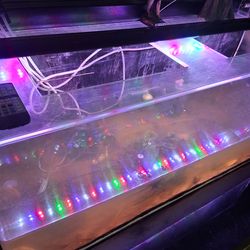 Fish tank Acrylic Custom Made 65 gallon