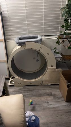 New cat wheel