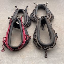 Horses Collars And Harnesses 