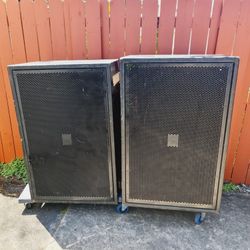 Dual 18-inch subwoofers (Pair/ el par) Passive