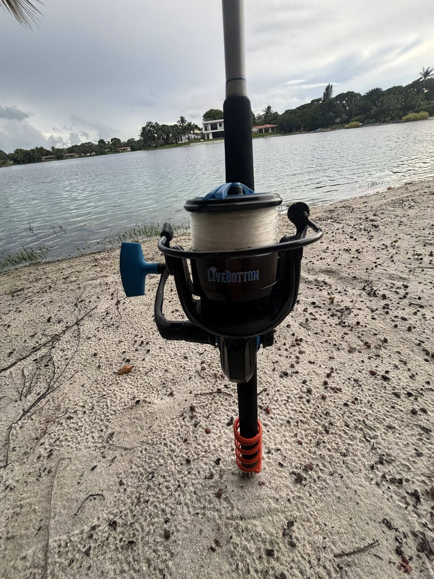 🎣 Preowned LiveBottom 5000 Reel & Like New LiveBottom 8FT 2PC 10-30Lb Rod 🔥