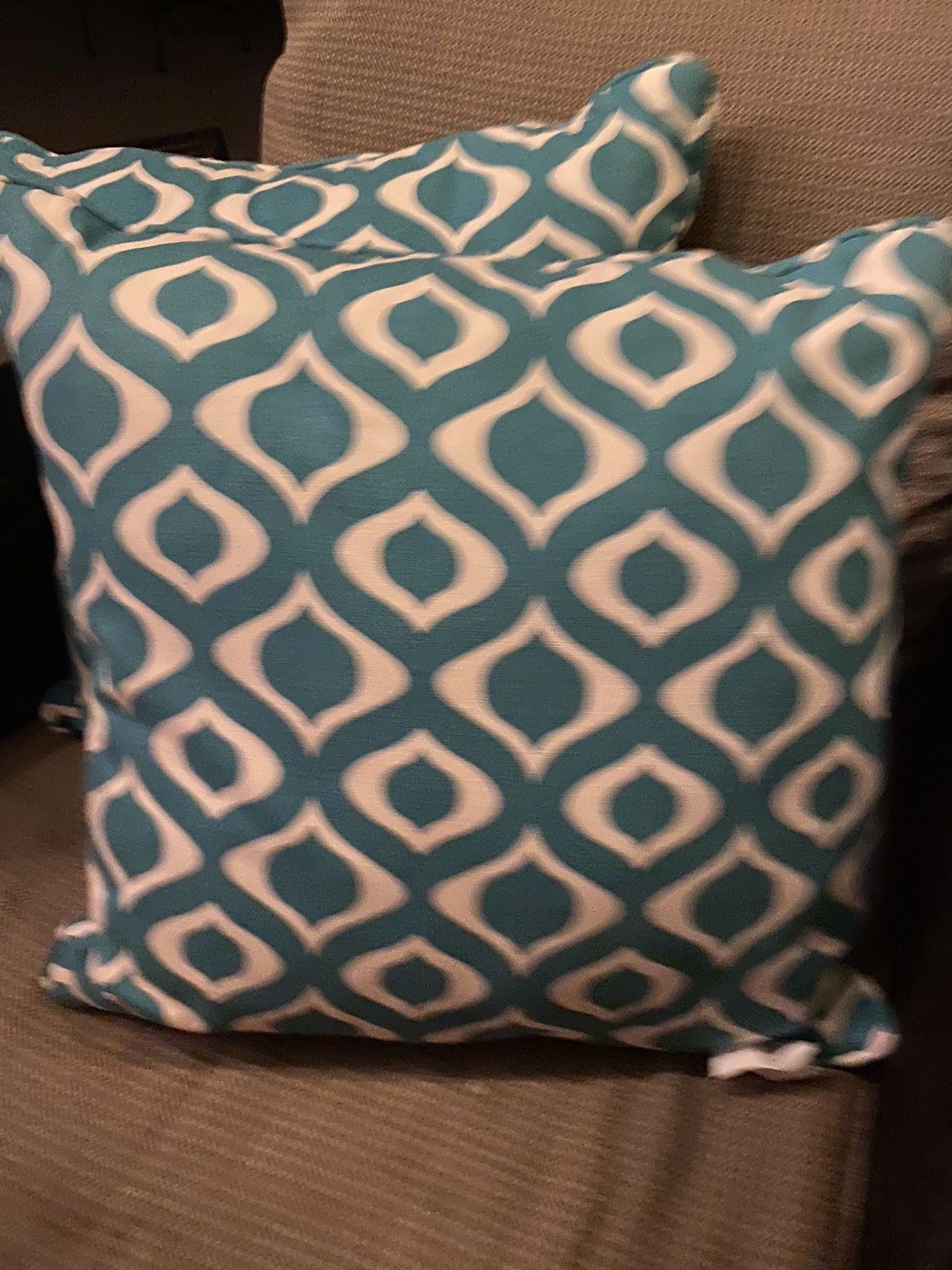 2 Decorative Outdoor Throw Pillow