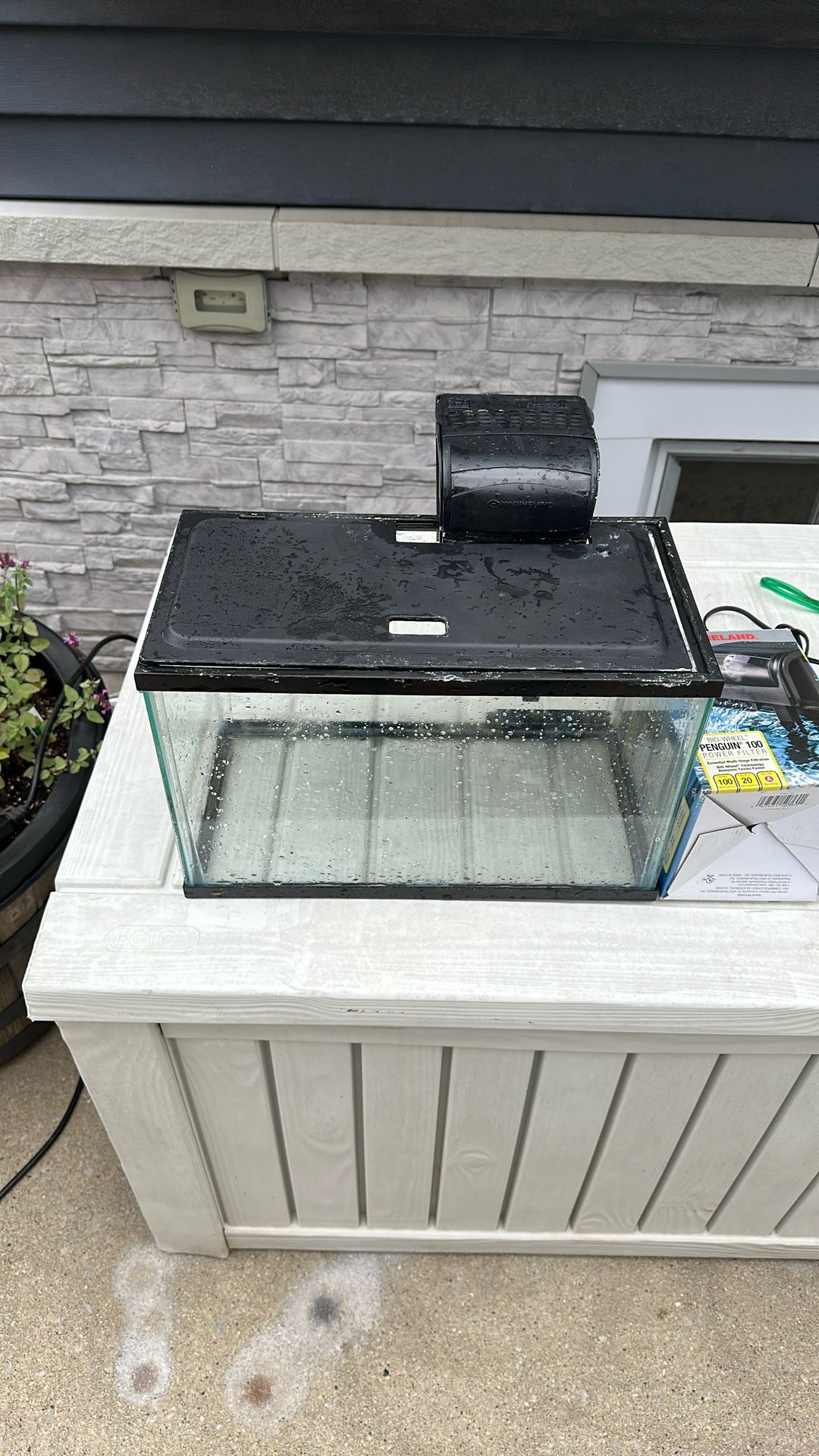 10 Gallon Fish Tank And Accessories