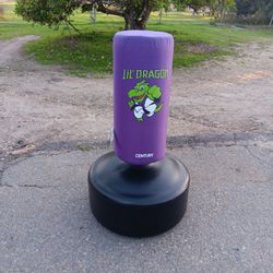 Century Kids Punching Bag Lil Dragon Wavemaster 
