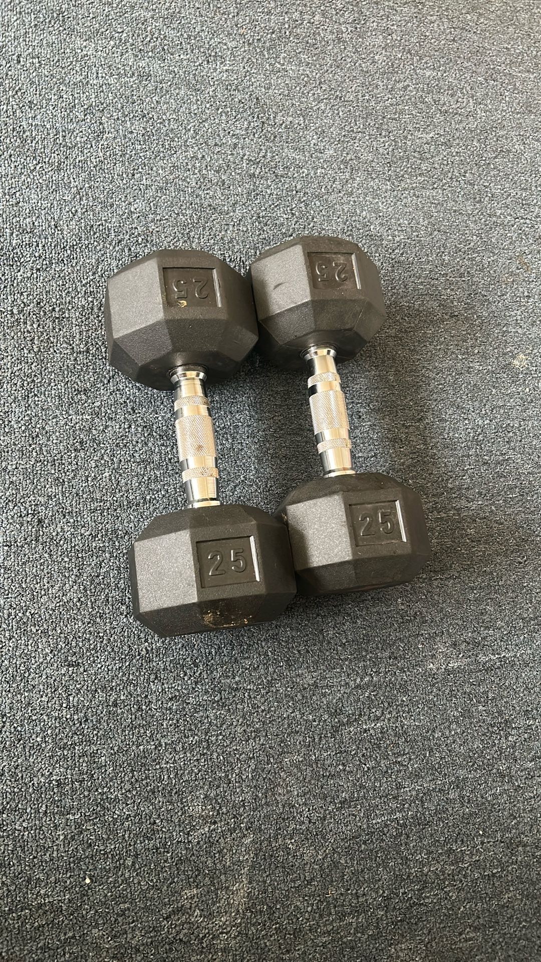 25lb Dumbbells