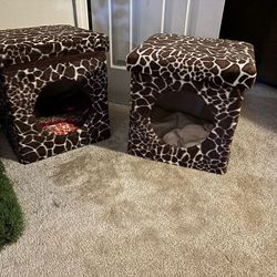 Cat house