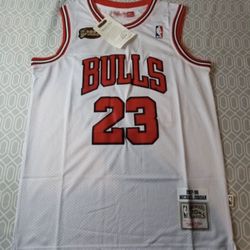Chicago Bulls Jersey / White & Red/ Jordan 23 Large