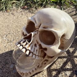 Halloween Decorations 