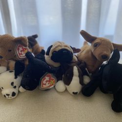 Dog Beanie Babies
