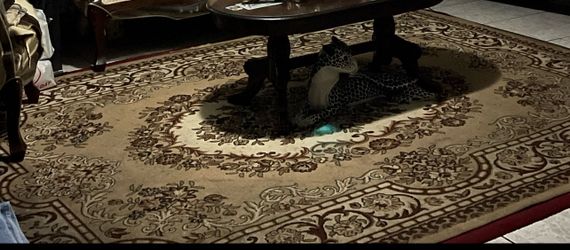 Center Table Huge Painting Frame