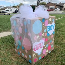 Gender reveal box