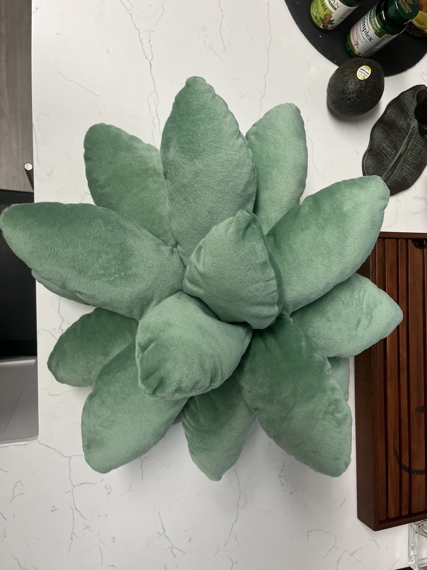 Succulent Pillow