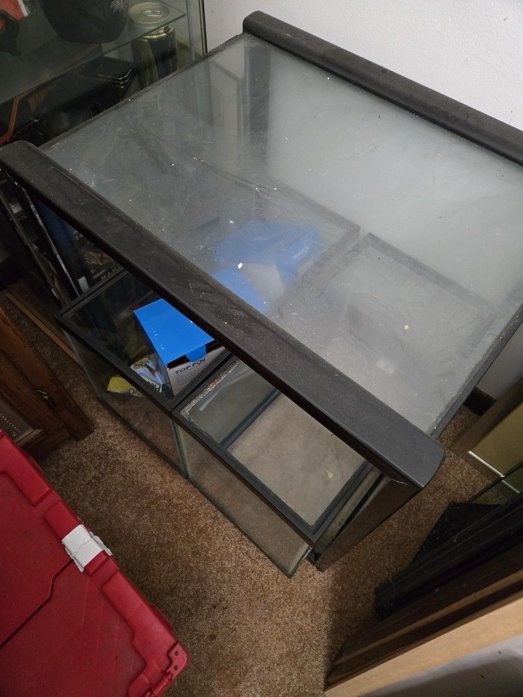 Fish Tank
