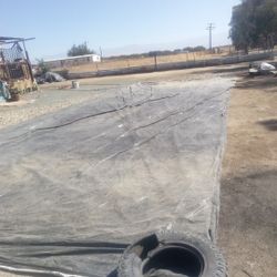 Tarp