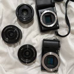 Sony Cameras And Lenses