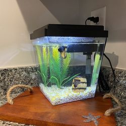1 Gallon Fish Tank All For $55