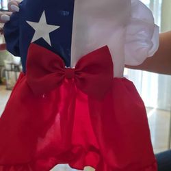 Vestido De Huasita Para Perrito