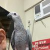Edwin 