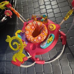 Fisher-Price Baby Bouncer Pink Petals Jumperoo 