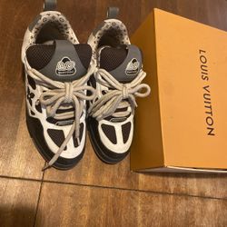 Louis Vuitton Skate Shoes Men 