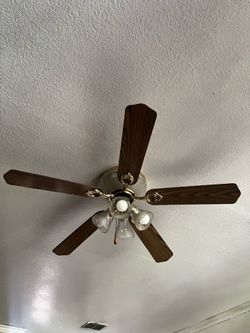 Fan / Abanico