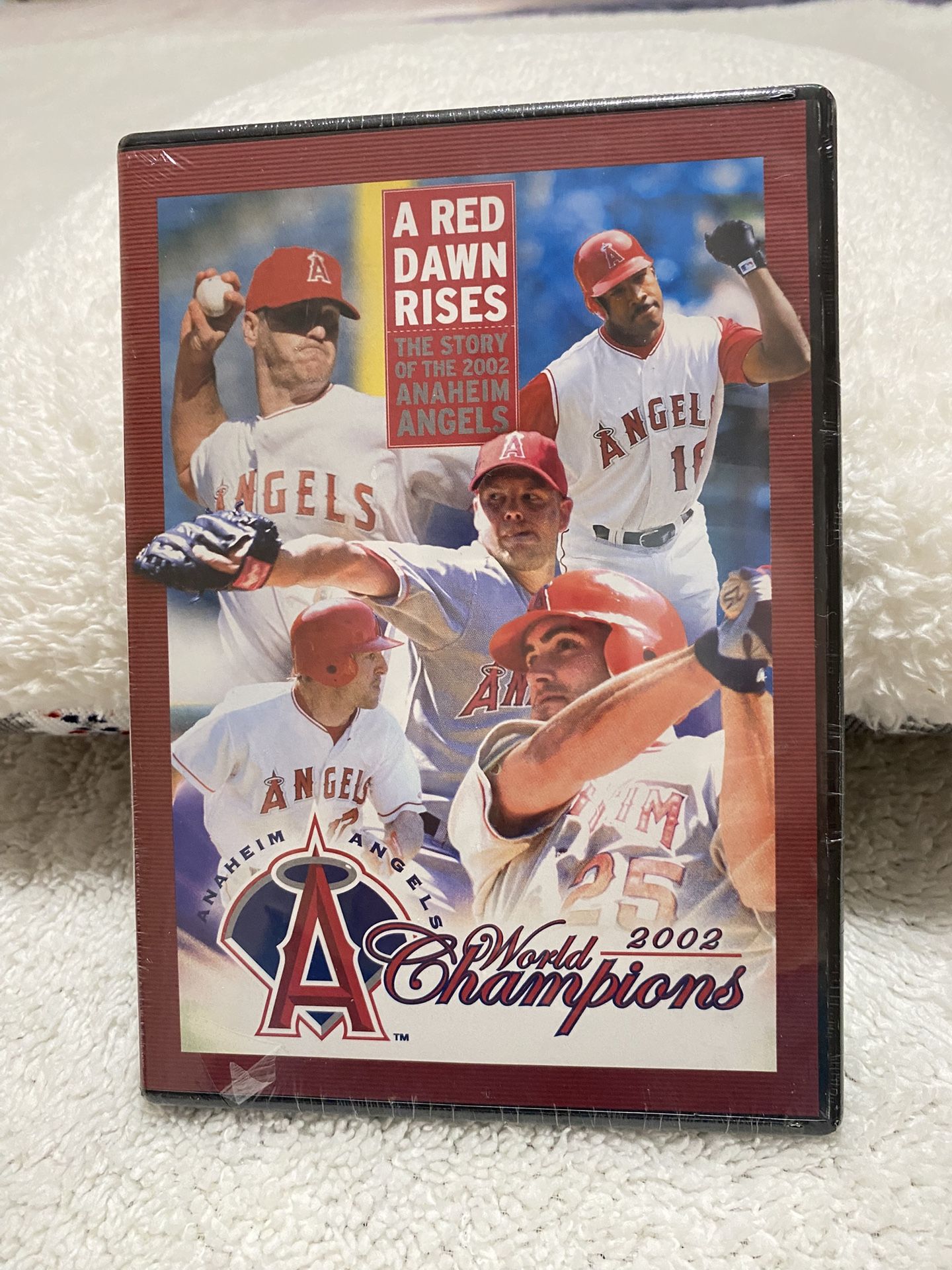 Angels DVD World Champions 2002