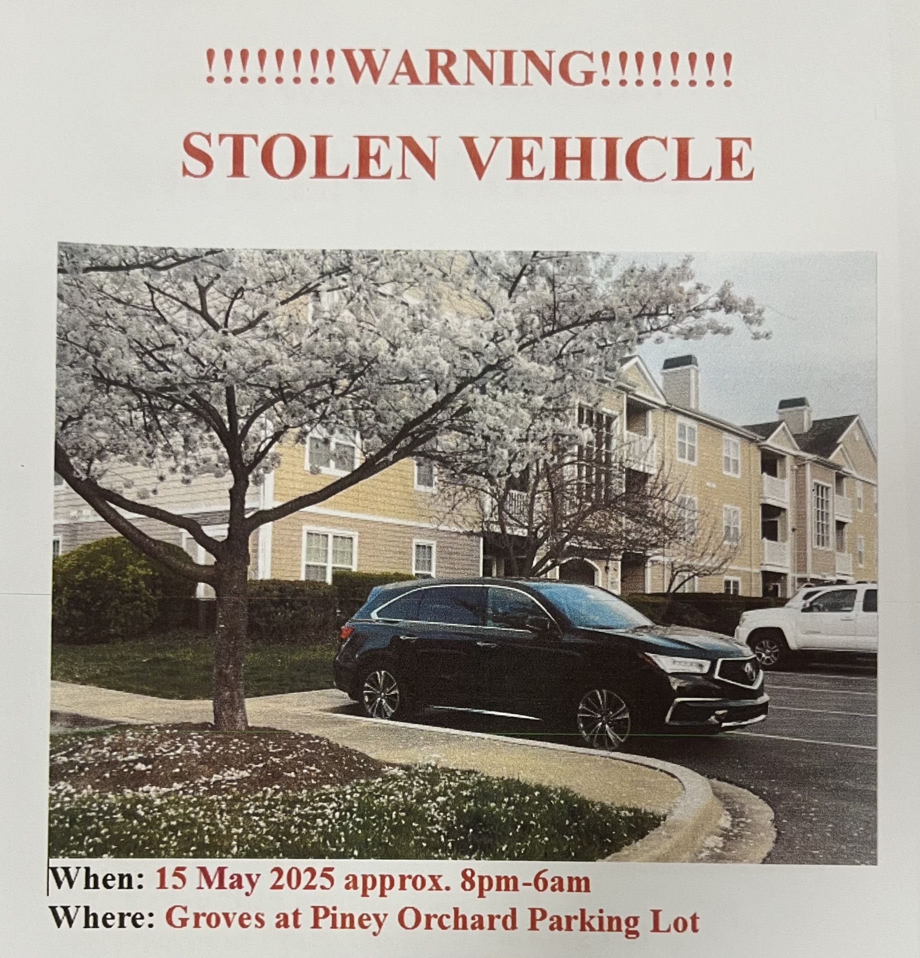 Stolen Vehicle
