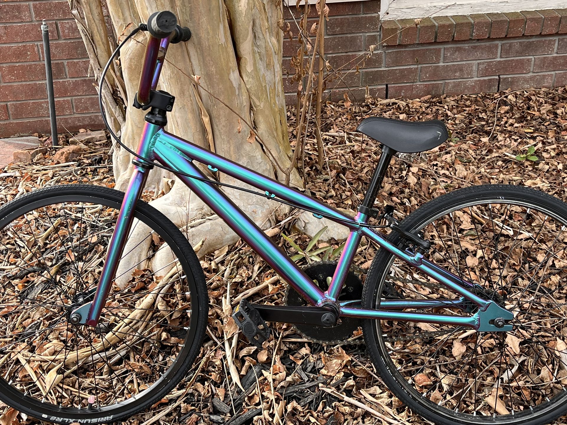 **Price Lowered** Custom DK Swift Mini Racing BMX