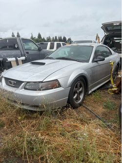 2003 Ford Mustang Part Out