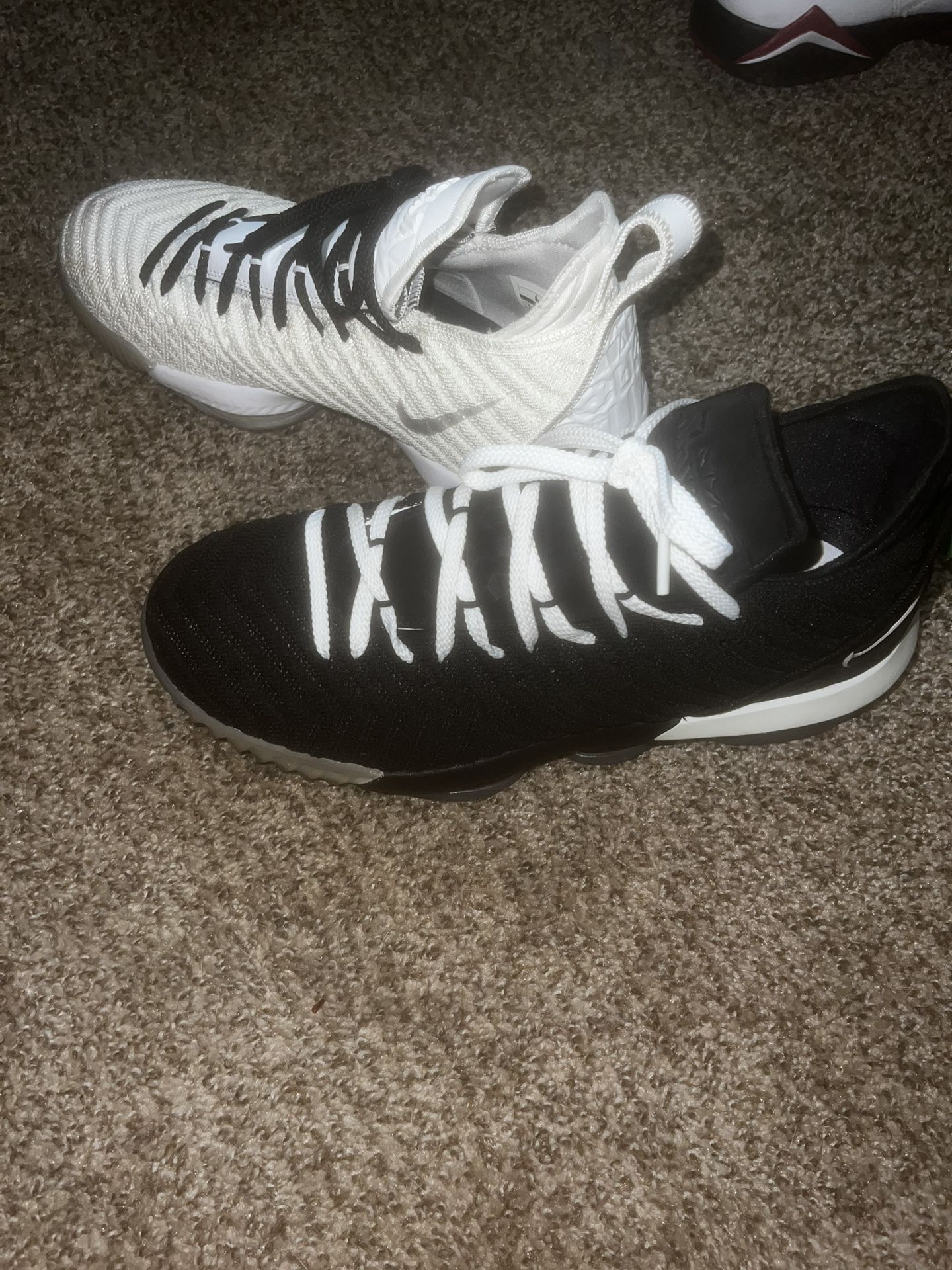 LeBron Equality 