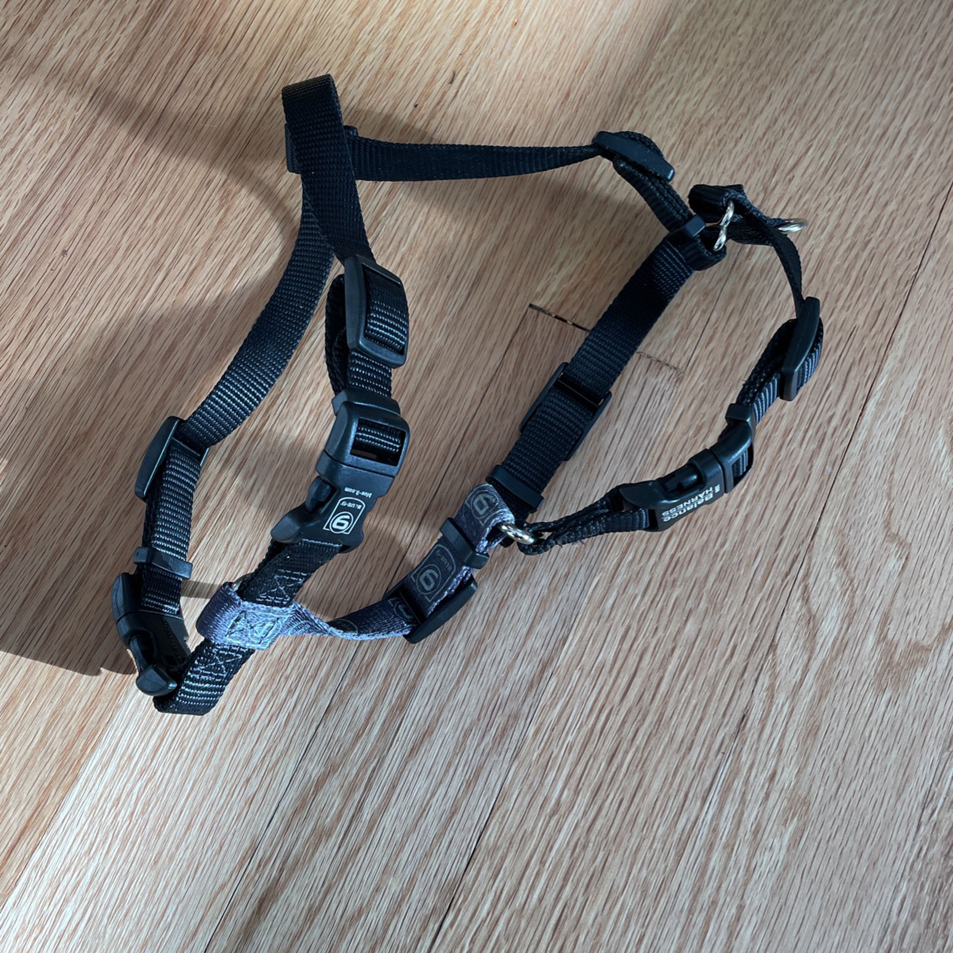 XS Blue-9 Buckle-Neck Six Point Dog harness